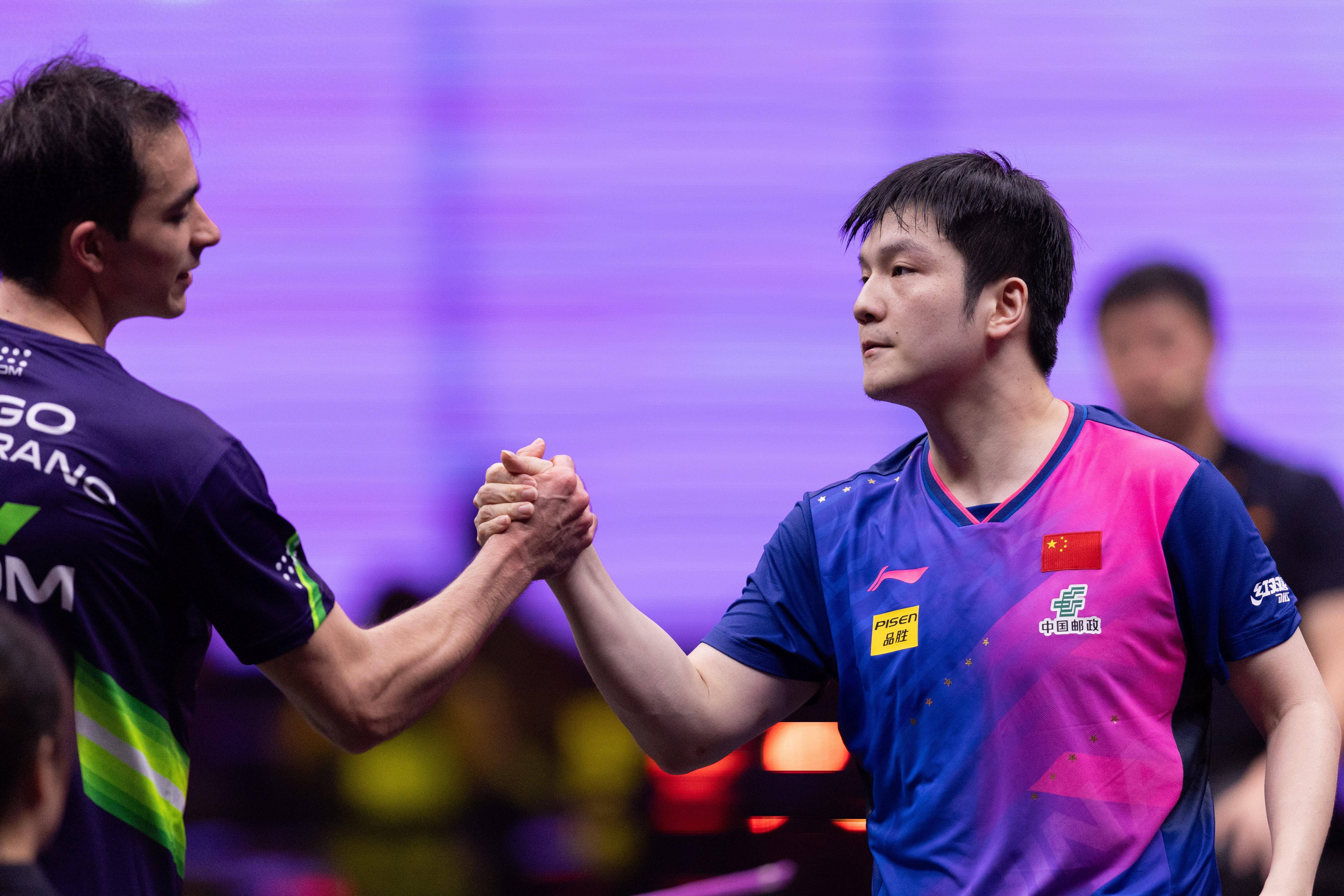 德国队力克奥地利队,樊振东带队取胜 德国队力克奥地利队,樊振东带队取胜